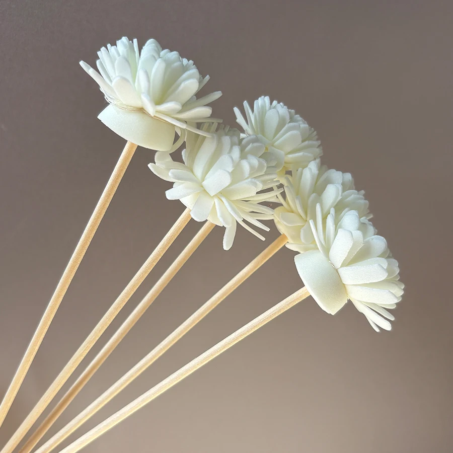 10 Stück Aroma-Diffusor-Stäbch – Perfume Fragrance Stick Bewertung und Preis