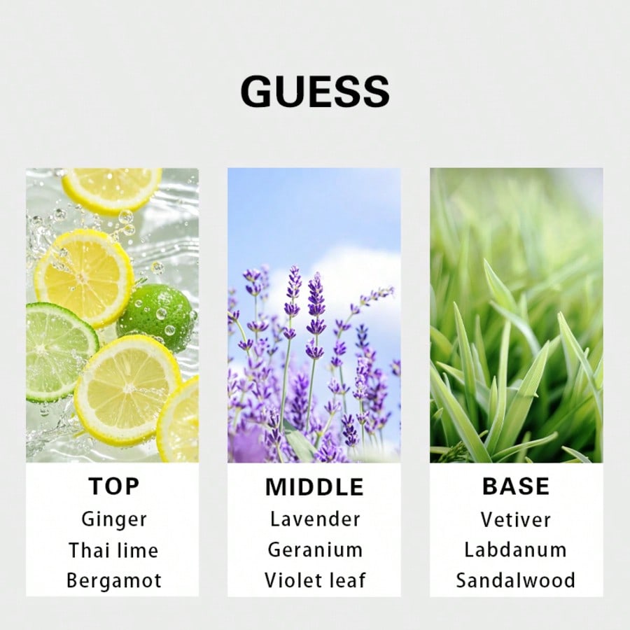 Guess Forever Herren Eau De To – Perfume Long Fragrance Bewertung und Preis