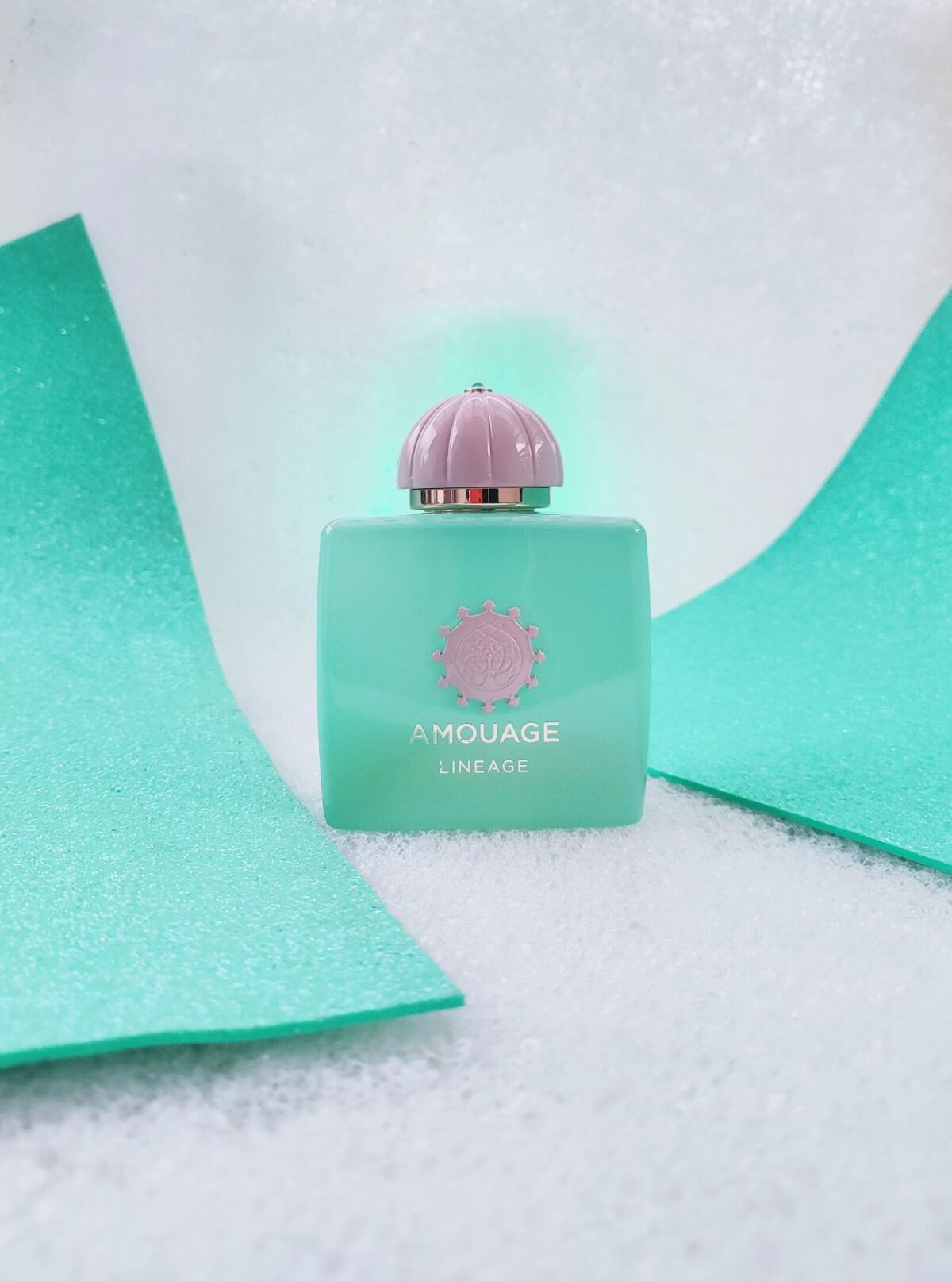 Amouage Guidance 46 Lineage Ou – Parfum Extrait Oil Bewertung und Preis