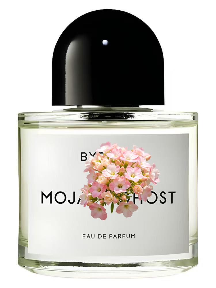 Unisex Eau de Parfum 100ml 3.4 – Perfume Floral Fragrance Bewertung und Preis
